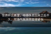 世界杯比赛里，中场休息回来之后不久，现场气氛突然变得紧张