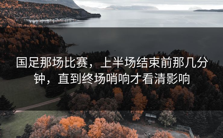 国足那场比赛，上半场结束前那几分钟，直到终场哨响才看清影响